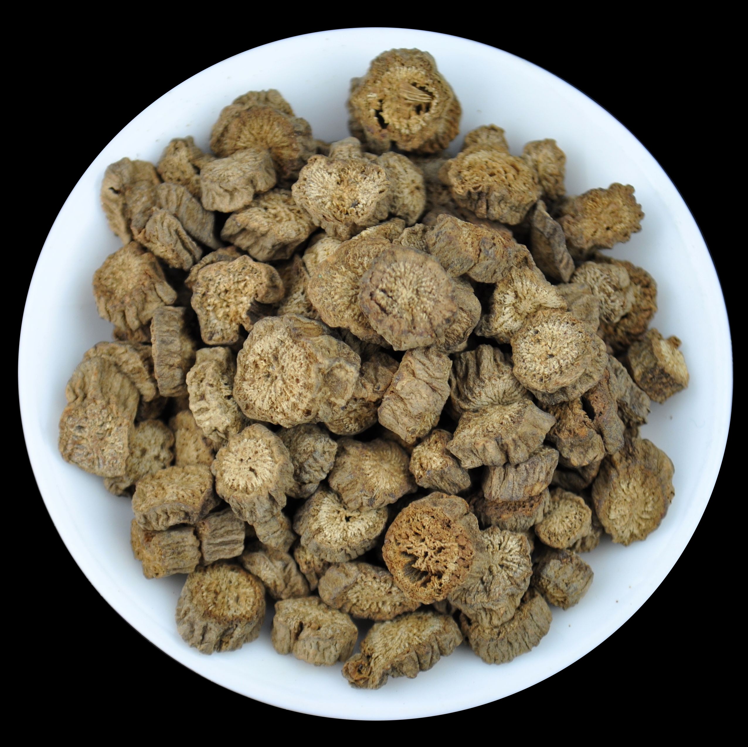 Burdock Root Tea * arctium lappa * 250 grams in Tin