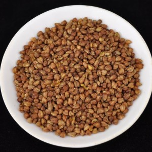 Himalayan-Black-Tartary-Buckwheat-Roasted-Tea-Fagopyrum-tataricum