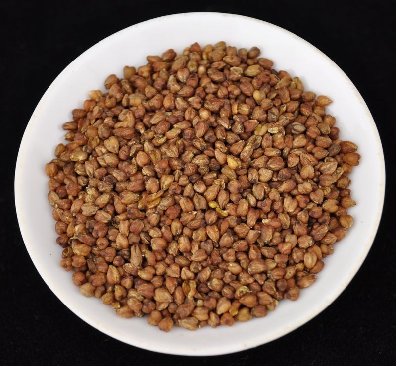 Himalayan Black Tartary Buckwheat Roasted Tea * Fagopyrum tataricum