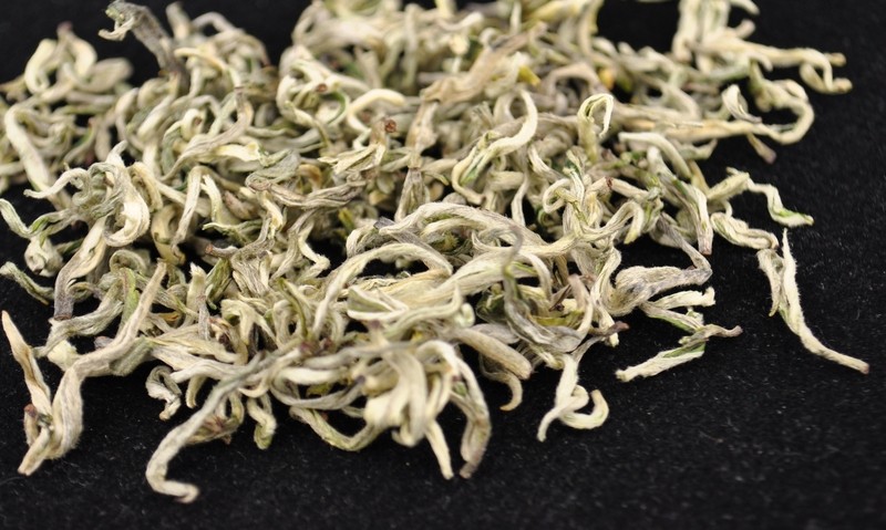 Tribute Grade Pure Bud Bi Luo Chun White Tea of Yunnan * Autumn 2015