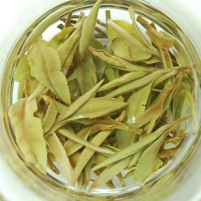 Hot sell teabag china bagged puerh unfermented raw tea