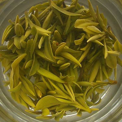 Unfermented puer famous brand tea, organic export Laobanzhang puer tea