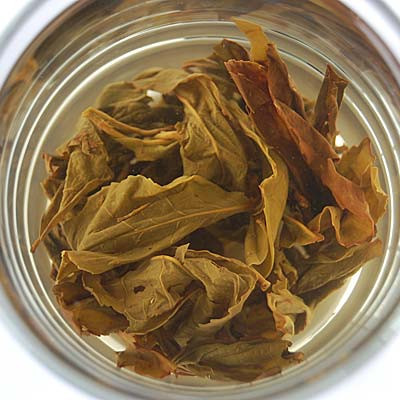 Greenfield growing detox kuding tea leaf