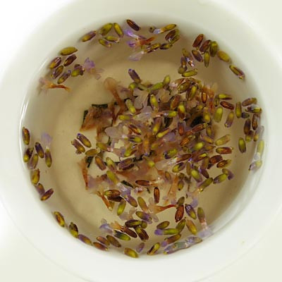Refine chinese raw pu erh tea detox tea for skin beauty