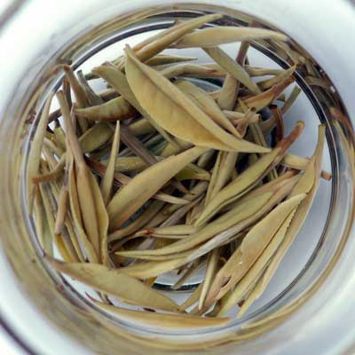 China tasty and healthy loose leaf white tea , white silver needle