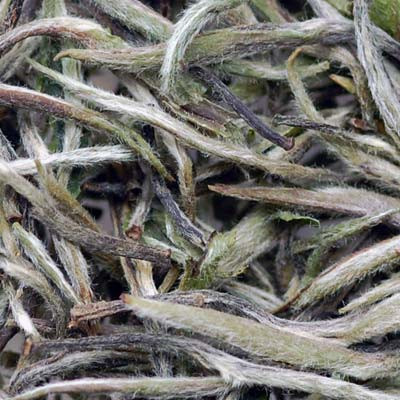 new premium Chunmee green tea price per kg, iaso tea benefit slimming