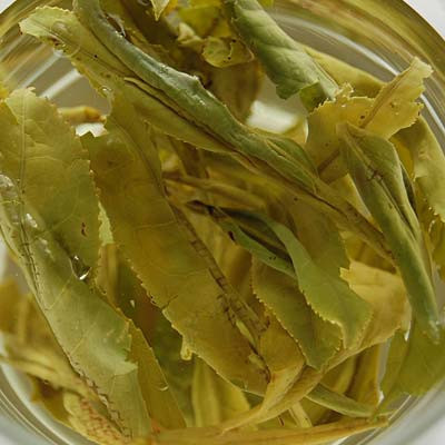 Yunnan Lincang big leaf raw pu erh tea with wholesale prices
